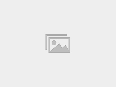 A Three-Dimensional Approach for the Conservative Treatment of Scoliosis – Level One